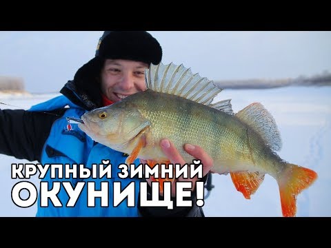Видео: Ловля КРУПНОГО окуня зимой! Испытание зимних костюмов Аляскан и Новатур в Сибири! Часть 2