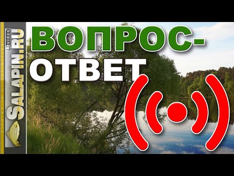 Видео: Поговорим о рыбалке. Вопрос-ответ. 05.05.2020
