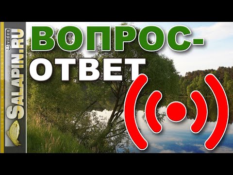 Видео: Поговорим о рыбалке. Вопрос-ответ. 05.05.2020