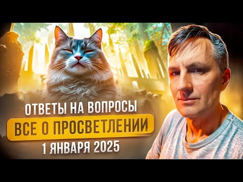 Видео: Ответы на вопросы о просветлении и духовной практике | Андрей Веретенников