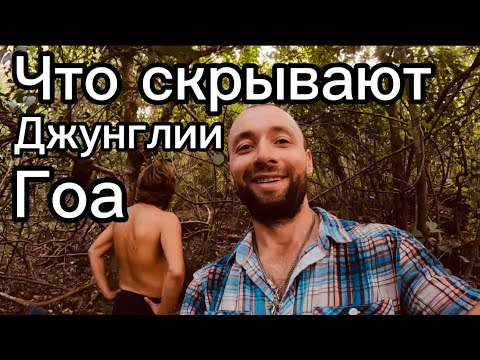 Видео: Как живут люди в джунглях Гоа !