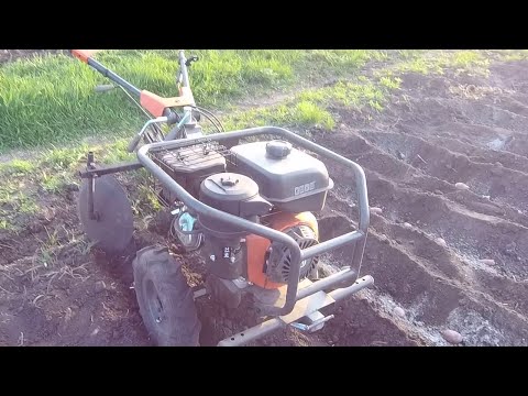 Видео: ВЕСЬ ПРОЦЕСС ПОСАДКИ КАРТОФЕЛЯ МОТОБЛОКОМ поворотным дисковым окучником быстро и просто в 2025 году