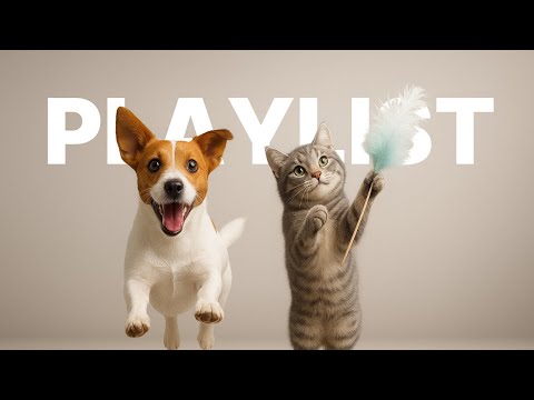 Видео: [Playlist] Не можешь сосредоточиться? Включи это 😌 Идеальный вайб для работы и учебы