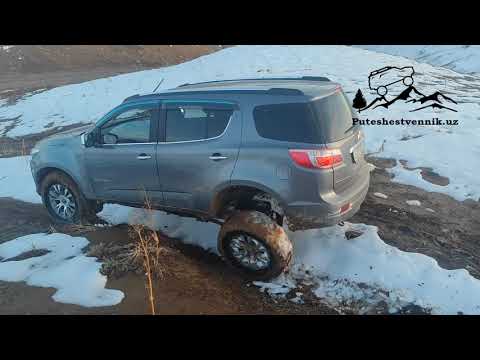 Видео: Арашан amateur Uzbekistan