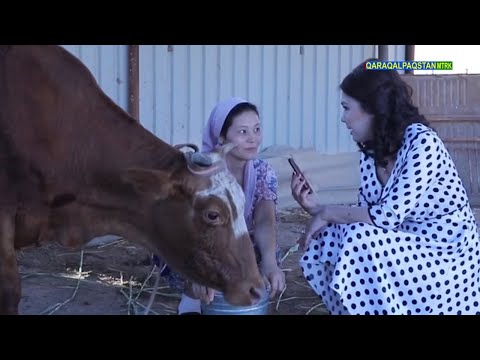 Видео: Келинлер жарысы //  Нөкис р-н келинлери