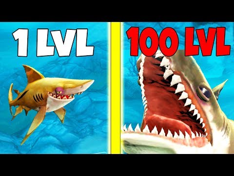 Видео: ЭВОЛЮЦИЯ АКУЛЫ В МЕГАЛОДОНА, САМАЯ БОЛЬШАЯ АКУЛА | Hungry Shark World