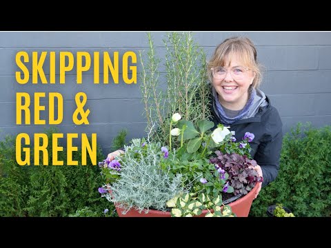 Видео: Пропускаем красный и зеленый: моя любимая зимняя палитра для контейнеров