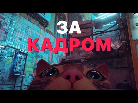 Видео: ЗАХВАТ ДВИЖЕНИЙ (с котиками и не только...)