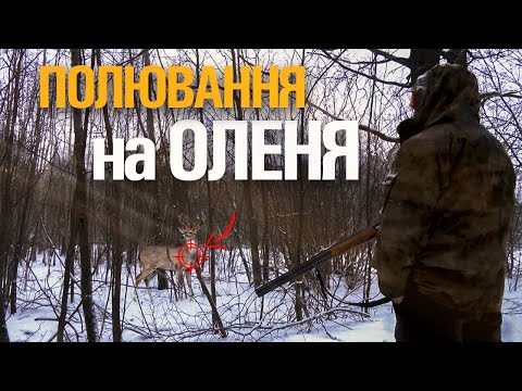 Видео: ЗАГОННЕ ПОЛЮВАННЯ НА ОЛЕНЯ. ХОРОША КОМПАНІЯ. НЕЙМОВІРНА АТМОСФЕРА
