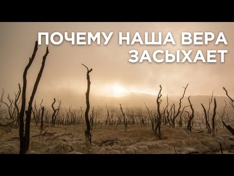 Видео: Почему наша вера исчезает, становится слабой. притча о сеятеле, о плевелах #МаксимКаскун