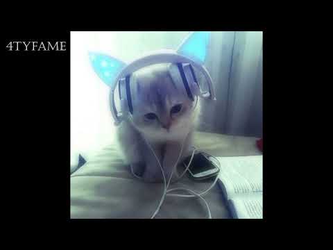 Видео: пошлая молли - супермаркет [speed up + dnb remix]