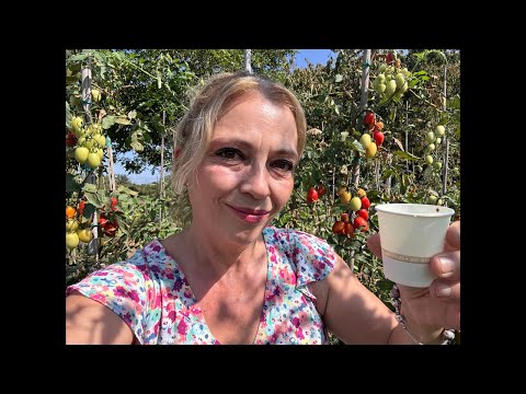 Видео: Неделно августовско кафе