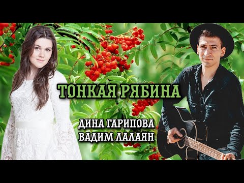 Видео: Тонкая рябина - Народная песня | Дина Гарипова и Вадим Лалаян