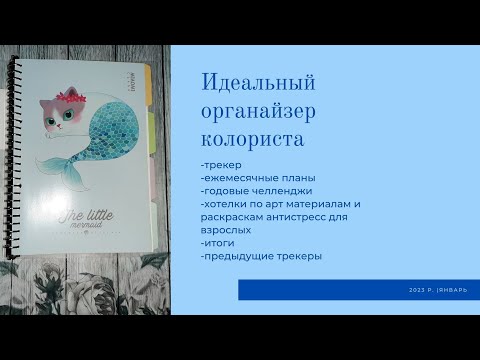 Видео: Мой идеальный органайзер колориста/трекер раскрасок/январь 2023