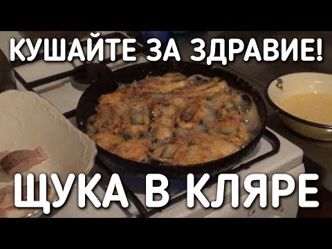 Видео: КУШАЙТЕ ЗА ЗДРАВИЕ / ЩУКА В КЛЯРЕ