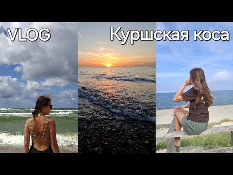 Видео: КУРШСКАЯ КОСА | ВЫСОТА ЭФА | ОЗЕРО ЛЕБЕДЬ | ОТДЫХ НА ПРИРОДЕ 2024