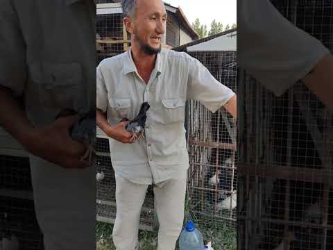 Видео: 23 июля 2023 г.