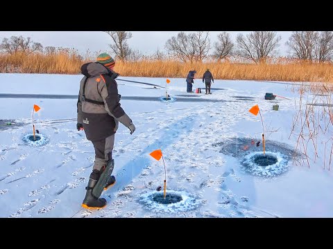 Видео: СЕРЁГА, БЕГИ там 5 СРАБОТОК на ЖЕРЛИЦАХ!!! ЗИМНЯЯ РЫБАЛКА 2022 на ЖЕРЛИЦЫ