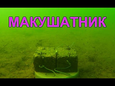 Видео: Пробовал под водой классический МАКУШАТНИК 🐟хотелось показать, что это не жаберный способ ловли рыбы