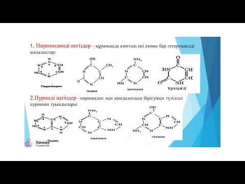 Видео: Химия ҚГБ 11 сынып Гетероциклді қосылыстар