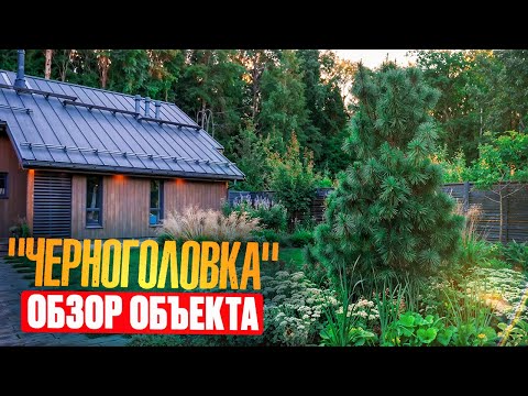 Видео: Дача у леса. 12 соток. Минимум газона, максимум функционала и декоративности. Разговор с заказчиком
