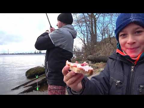 Видео: Корюшка. Супер Клёв. Много Дуплетов и Strike.