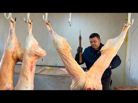 Видео: УЛИЧНАЯ ЕДА Приготовленная ПОД ЗЕМЛЯ. Узбекский ТАНДУРИ Наан и КАЗАН Хлеб. Узбекская кухня