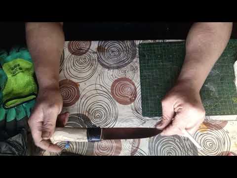 Видео: 23 ноября 2024 г.