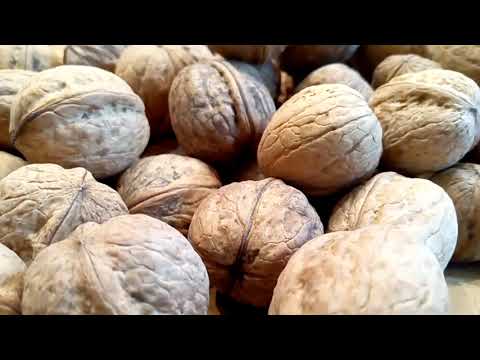 Видео: Сколько надо деревьев грецкого ореха чтобы собрать тонну урожая? Знает Walnuts Broker