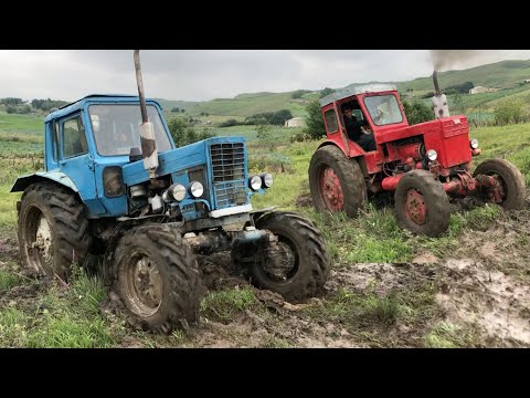 Видео: Трактор Т 40 или МТЗ 82 | Сравнение Тракторов 2 Част