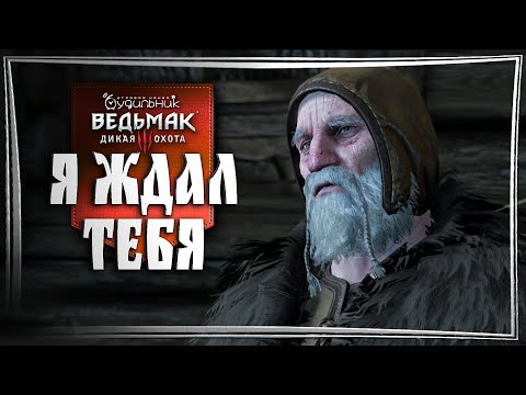 Видео: ПРОРИЦАТЕЛЬ ⚔️ Ведьмак 3 - Прохождение #28