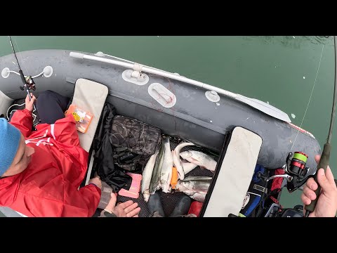 Видео: Нашли жереха под конец сезона. Разловил новый ультралайт.