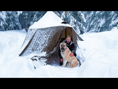 Видео: Мои зимние лагеря в экстремальных условиях! - Лучшие снежные лагеря 2024 года Часть 2