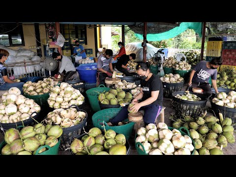 Видео: Удивительная кокосовая фабрика! сумасшедшие навыки мастера резки кокоса | Таиланд