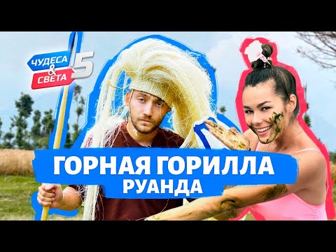 Видео: Горная горилла, Руанда. Орёл и Решка. Чудеса света (eng, rus sub)