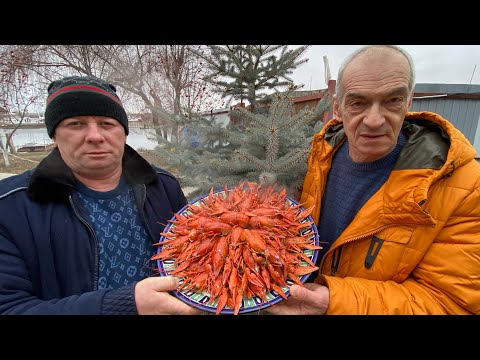 Видео: ИДЕАЛЬНОЕ БЛЮДО В КАЗАНЕ‼️Раки в сметане рецепт🦞раки к пиву🌲новогоднее блюдо