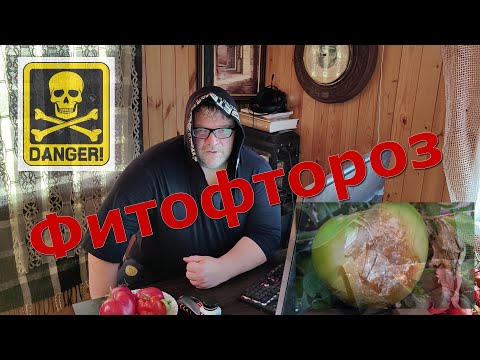 Видео: Фитофтора атакует. Фитофтороз это что?