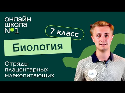 Видео: Отряды плацентарных млекопитающих. Рукокрылые, Грызуны и другие. Видеоурок 31. Биология 7 класс