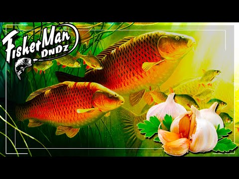 Видео: РЕАКЦИЯ РЫБЫ НА ЧЕСНОК. РЫБА ДУРЕЕТ ОТ ЧАСНЫКА. Подводная съемка.