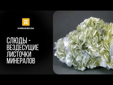 Видео: Слюды - вездесущие листочки минералов