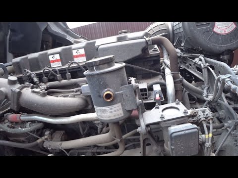 Видео: Idutex и Донг Фенг