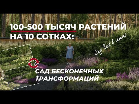Видео: Sat - сад бесконечных трансформаций