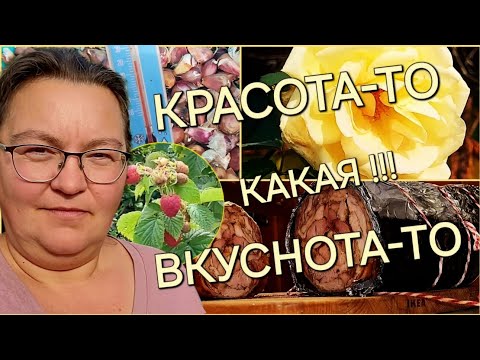 Видео: Рулет куриный😋/Чеснок посажен🧄/Погода супер/ОДНА В ДЕРЕВНЕ👱🏼‍♀️