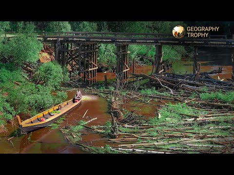 Видео: СИБИРСКИЕ ДЖУНГЛИ. На деревянной лодке через зеленый АД. ЖАРА. ГНУС. ЗАЛОМЫ