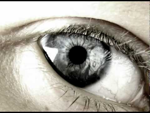 Видео: Тэм Гринхилл. Ветер севера