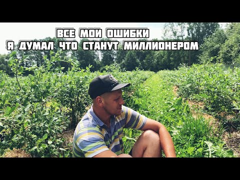 Видео: Голубика Клубника , миллионы,
вся правда о бизнесе