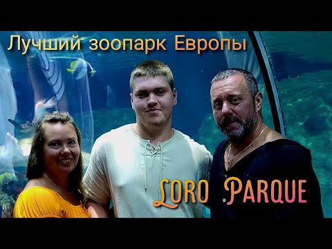 Видео: Такого мы не ожидали в Loro Parque.  Шоу морских животных, эмоции и тропический рай Тенерифе!