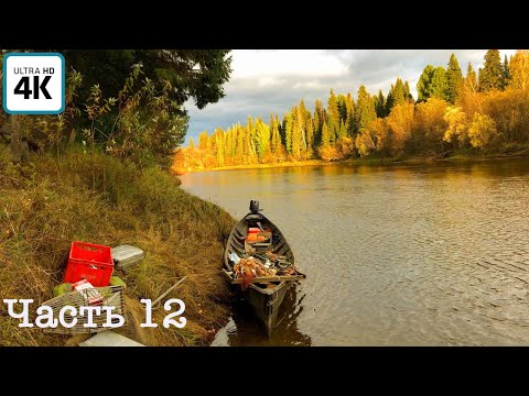 Видео: Экспедиция по горным рекам(ч.12) | Возвращаемся в избу | Все брошено, пропали хозяева | Малосол рыбы