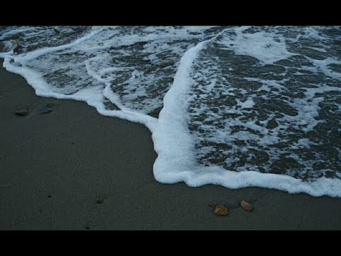 Видео: Знакомство с Косаткой.;)