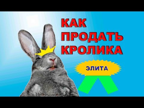 Видео: КАК Я ПРОДАЮ КРОЛИКОВ